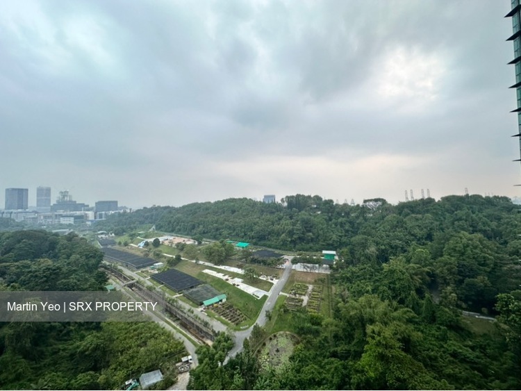 Normanton Park (D5), Apartment #461027251
